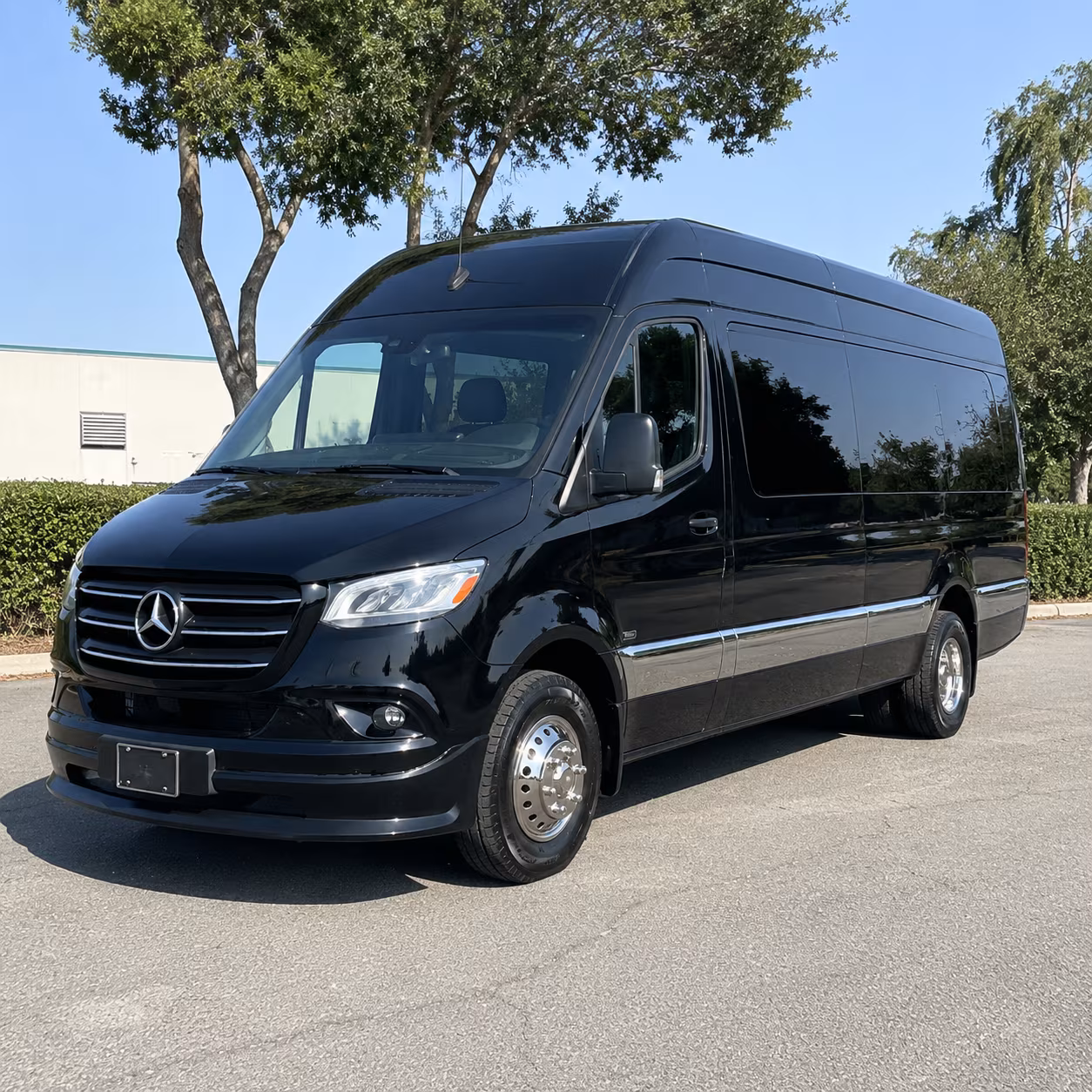 billings sprinter limousine